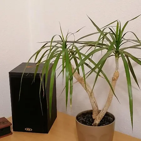 A Jump From Downtown Апартаменты Будапешт