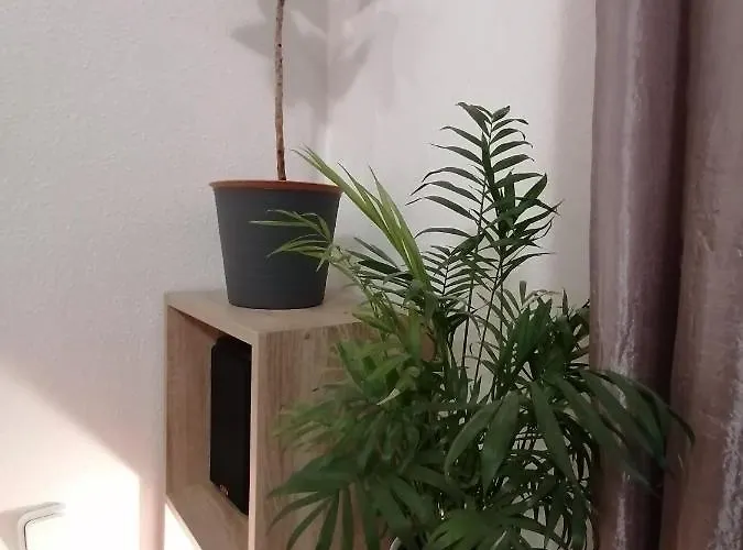 A Jump From Downtown Budapest