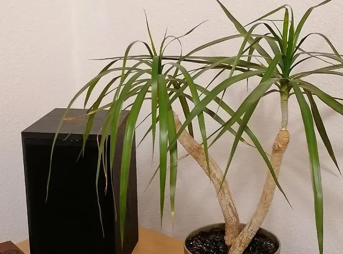 A Jump From Downtown Apartament Budapesta