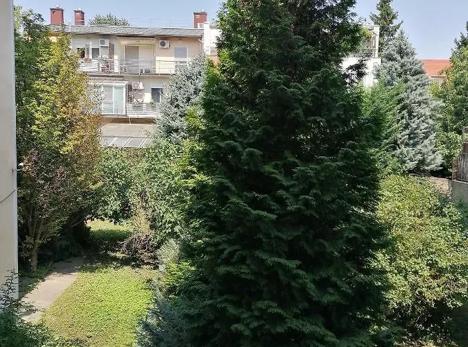 A Jump From Downtown Budapest