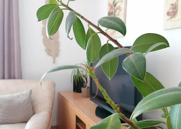 A Jump From Downtown 公寓 布达佩斯