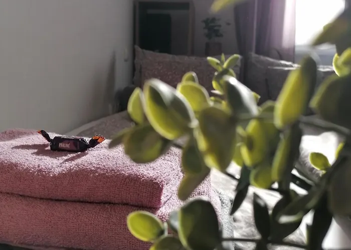 公寓 A Jump From Downtown 布达佩斯