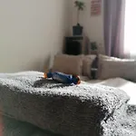 A Jump From Downtown ブダペスト