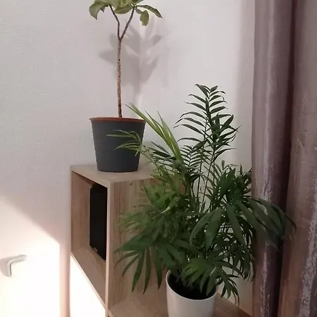 A Jump From Downtown Budapest