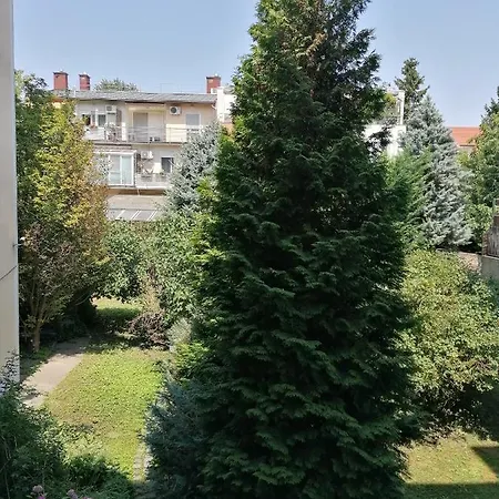 A Jump From Downtown Budapest