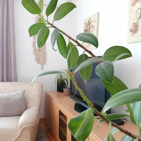 A Jump From Downtown Appartement Budapest